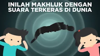 Inilah Makhluk dengan Suara Terkeras di Dunia