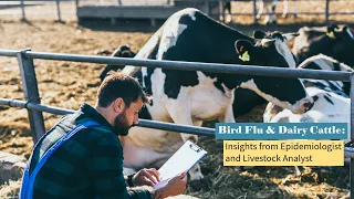 Bird Flu & Dairy Cattle: Insights from Epidemiologist and Livestock Analyst