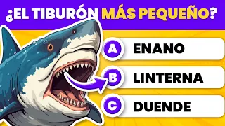 ¿CUÁNTO SABES? ✅ Test de Cultura General y Curiosidades del TIBURON 🔥