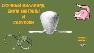 Биота Монтаны, Скучный миллиард и слоупоки. Помни о предках