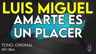 Luis Miguel - Amarte Es Un Placer - Karaoke Instrumental