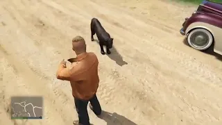 GTA Online: Cayo Perico Heist: Panther Escaped