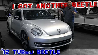 'Really, I got another Beetle!' New addition to the CAR WIZARD garage. Did he get a good deal?