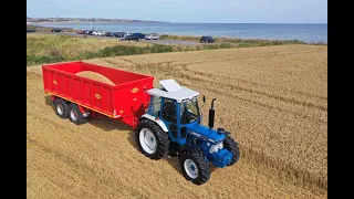 Spring Wheat Harvest 27th August 2022