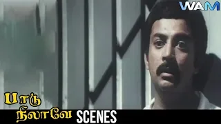 Paadu Nilave Tamil Movie Scene 10 | Mohan | Nadhiya | Ravichandran | K. Rangaraj | WAM India Tamil