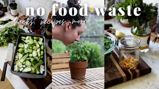 You NEED to try these food waste hacks! ☀️ 4