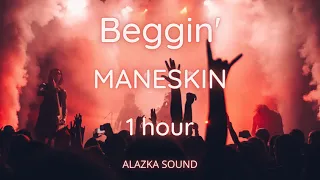 Beggin'- Måneskin 1 Hour