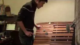 Transformation of  Pachelbel's Canon for solo marimba