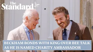 David Beckham bonds with King over bee talk as he is named charity ambassador