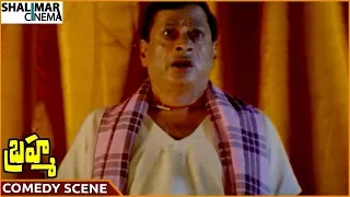 Brahma Movie || M.S. Narayana Hilarious Comedy Scene || Kiran Tej || Shalimarcinema
