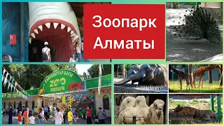 Vlog Зоопарк Алматы Май 2019 Парк Горького Почему гиббоны так громко поют?