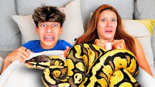 Scary Unwanted Visitors Invade Our Home  *SHOCKING* | The Royalty Family