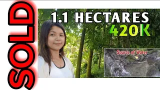 #Vlog30 | 1.1 HECTARES |38 Per Square Meter| Mahoganihan + Fruit Bearing Tree's | CLEAN TITLE | 420K