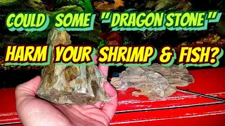 Shrimp Keeper Warning! Some "Dragon Stone" is not Ohko & Can Harm Shrimp or Fish via TDS & PH