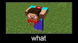 Minecraft wait what meme part 32 (scary headless Steve)