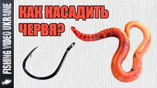 How to hook a worm