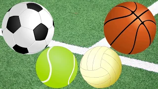 Learning the Colors | Learning Sport | Soccer Ball Basketball Tennis Volleyball