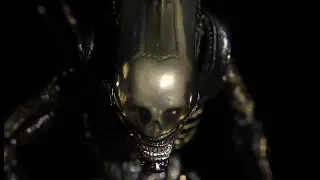 Why is the Xenomorph so Aggressive?