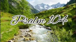 Psalm 104 - NLT Audiovisual