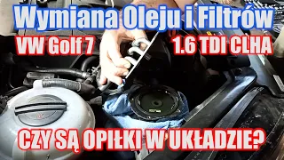 VW Golf 7 1.6 TDI CLHA - Wymiana Oleju i Filtrów