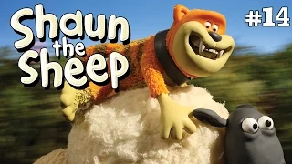 Hide and Seek | Shaun the Sheep Season 2 | Full Episode