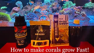 What to feed corals to increase growth and color! Best coral food to make corals grow fast!