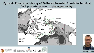 Dr Ray Tobler – Dynamic Population History of Wallacea Revealed from Mitochondrial DNA