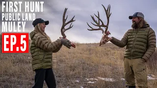 PAILEY'S FIRST DEER HUNT! | EP. 5 | RUTTING MULE DEER | 🎬 GRITTY 4K FILM