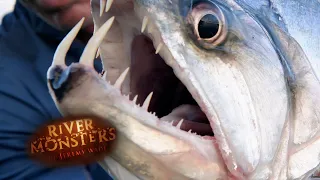 The Vampire Fish | SPECIAL EPISODE | River Monsters