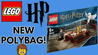 NEW LEGO 30420 Harry Potter And Hedwig Polybag Revealed!