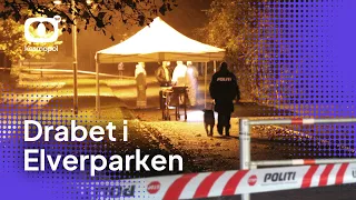 Del 1: Har hemmelig agent endelig opklaret drabet i Elverparken?