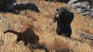 Far Cry 4 - Bear Fending Off Tiger