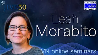 EVN Seminar: The highest resolution at the lowest radio frequencies: the LOFAR view of the radio sky