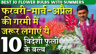 फरवरी मार्च अप्रैल की गरमी में जरूर लगाएं ये 10 विदेशी फूलों के बल्ब || March and April Flower Bulbs