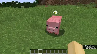 my lost minecraft video