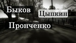 Быков Пронченко Цыпкин