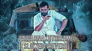 Palvarnna kuthiramel song | Slowed + Reverb | Kaduva #kaduva #prithvirajsukumaran #kaduvamovie