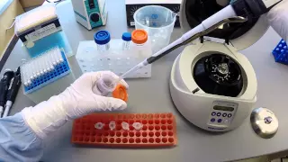 DNA Extraction Protocol - Part 2