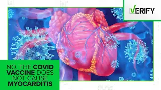 No, the COVID-19 vaccine does not cause myocarditis