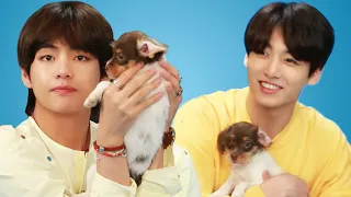 BTS Plays With Puppies While Answering Fan Questions