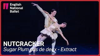 Nutcracker: Sugar Plum pas de deux (extract) | English National Ballet