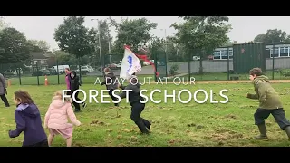 The Transformative Benefits of Forest School