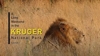 Long Weekend In The Kruger National Park | Ep2: Satara Camp