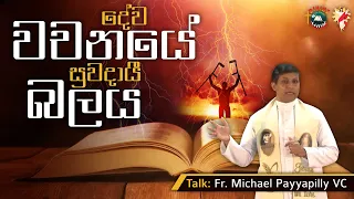 Healing Power of God's Word Ret. | Talk: Fr Michael Payyapilly VC | English - Sinhala | DRC Colombo