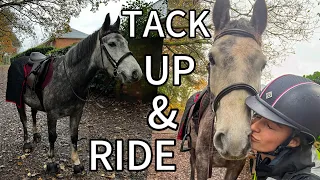 Tack up and ride with me - Affie’s first solo hack in 3 months
