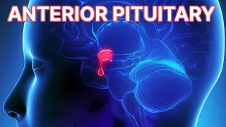Anterior Pituitary Disorders (updated 2023) - CRASH! Medical Review Series