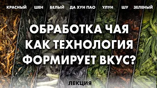 Почему чай разный? Технология производства китайского чая | Art of Tea и Елена Иванова