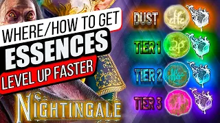 The Most Important Thing To Know In Nightingale: Where To Get Green,Blue & Purple Essence?
