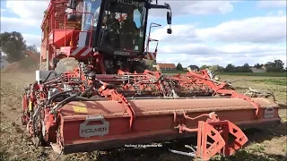 🎃Holmer-Fendt-Hawe💀 /👹 Rübenernte - Beet Harvest   2018   1/3👻