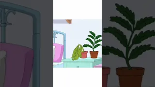 Family Guy: The sex plant! #trending #shorts #lol #comedy #funny #familyguy #petergriffin #shorts
